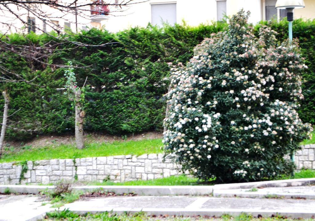 Ferienwohnung La Casa Di Olga Matera Exterior foto